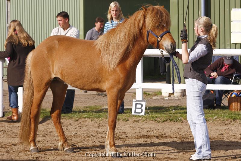 Lif von Heidmoor (2).JPG